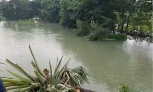 बेगूसराय में जमींदारी बांध टूटा, तीन पंचायतों में बाढ़ जैसे हालात