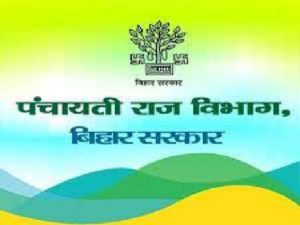 बिहार की पंचायतों के लिए 1850 करोड़ रुपये जारी, जानिए किस काम पर कितना होगा खर्च