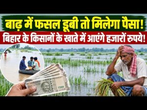 बिहार में बाढ़ से 270 करोड़ की फसल बर्बाद, किसानों को कितना मिलेगा अनुदान?