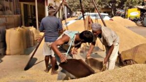 बिहार में चावल मिलरों के निबंधन की तारीख बढ़ी, अब 15 नवंबर तक मिलेगा मौका
