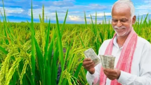 PM Kisan 24वीं किस्त: 30 अक्टूबर को किसानों के खाते में आएंगे ₹2,000, जानें कैसे चेक करें अपना स्टेटस