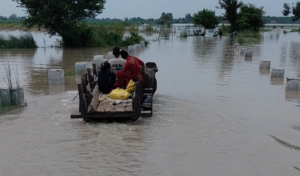 गंडक का कहर: NH-722 पर कई फीट पानी, सड़क पर चली नाव; बाढ़ में देखते ही देखते ढह गया मकान