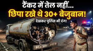 ऑयल टैंकर में पेट्रोल की जगह मिले 30 से ज्यादा मवेशी, अंदर का नजारा देख पुलिस भी हैरान